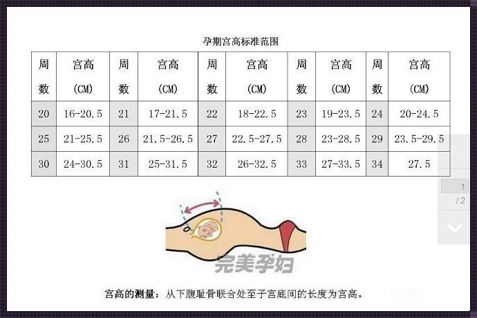 孕36周宫高34腹围96会缩小嘛：孕期疑难点解答