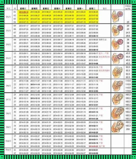 孕期的每一步，我们共同见证——1-40周全面检查项目大盘点