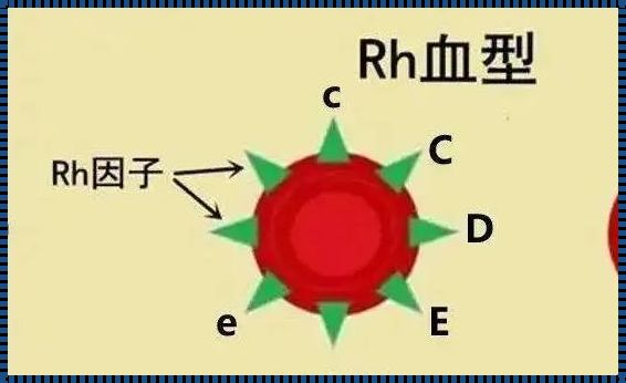 B型Rh阳性婴儿：生命的奇迹与育儿经验的结晶